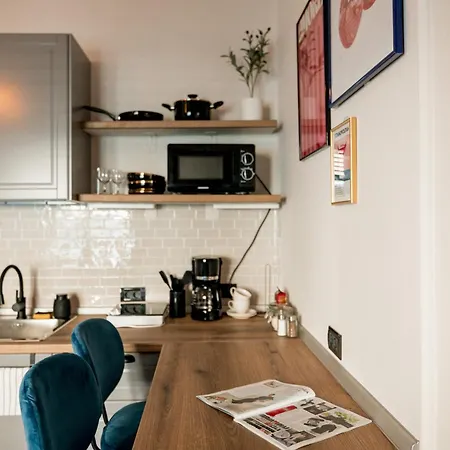 Decebal Central Studio - Elegant And Cozy Stay Arad Exterior photo